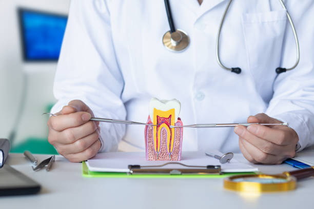 Best Emergency Gum Treatment in Pinckneyvle, IL